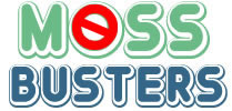 Moss Busters moss removal Eastbourne