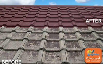 roof coatings East Sussex