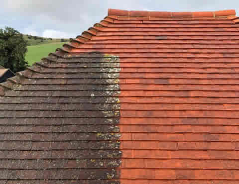 roof moss removal in East Sussex